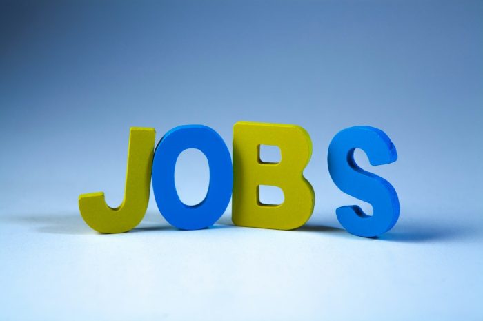 Freelancing vs Job: Which Career Choice Actually Works Better for You