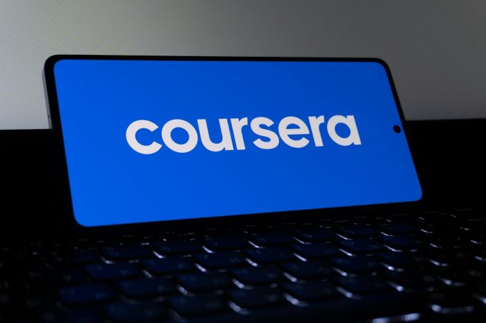 From Beginner to Skilled: A Practical Guide to Learning Online Skills